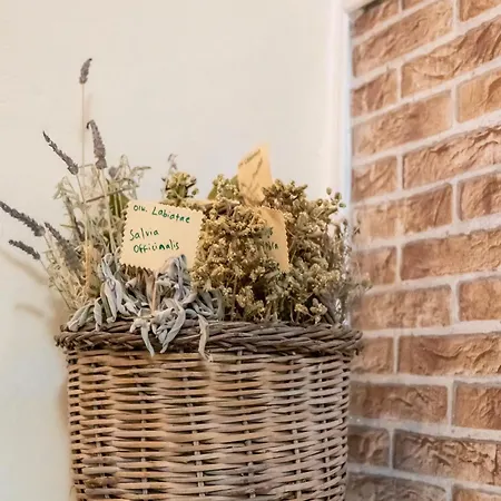 Dom wakacyjny Golden Nest