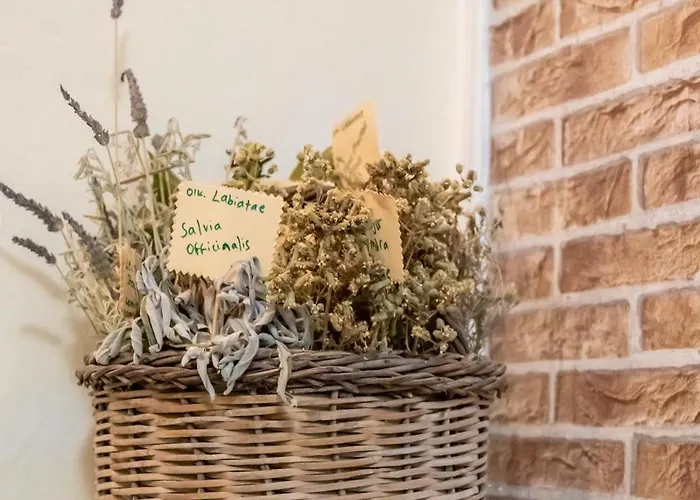 Vakantiehuis Golden Nest