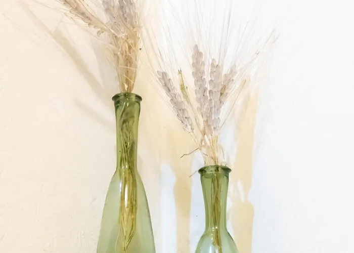 Golden Nest Vakantiehuis